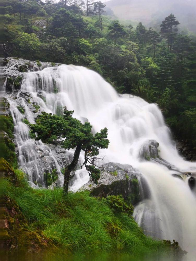寂静岭5：归乡